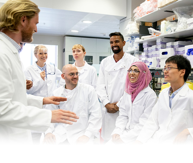 Banner Image of Healthcare organization